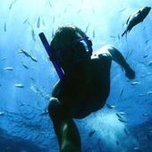 User avatar for Alexandre Bl