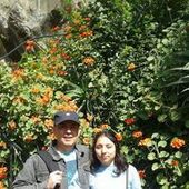 User avatar for Camila Araos Elevancini