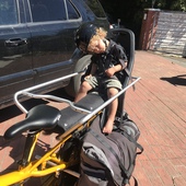 User avatar for Sandi Dillon