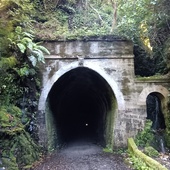 User avatar for Carole Stapleton