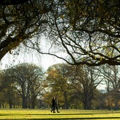 User avatar for Jamie Todd