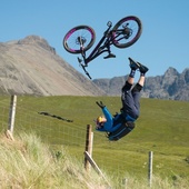 User avatar for Andy Costello