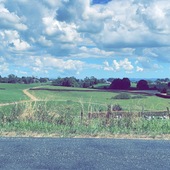 User avatar for Amelia Smith