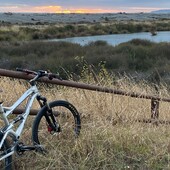 User avatar for Stephen Lys