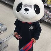 User avatar for Jason Lai