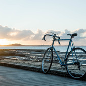 User avatar for Luis Suarez