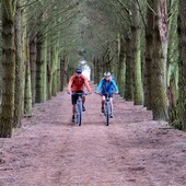 User avatar for CAth Jamieson