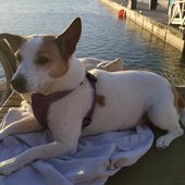 User avatar for Regina Kwok