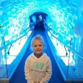 User avatar for Erich Oosthuizen