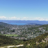 User avatar for Anna Griffin