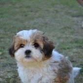 User avatar for Angela Grundy