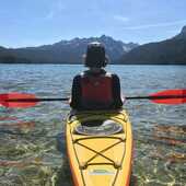 User avatar for Andrea Schilling