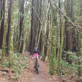 User avatar for Olivia Edmonds