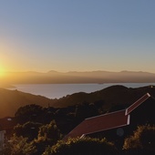 User avatar for Toni Love