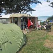 User avatar for Cathie Connew