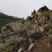 User avatar for Brandi Sweet