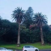 User avatar for Annie Zhang