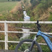 User avatar for Lorraine Geary