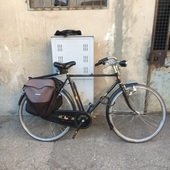 User avatar for David Sharp