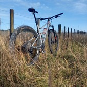 User avatar for Brent Carrad