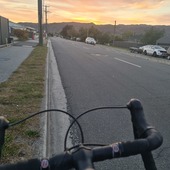 User avatar for Ashlee Ryan