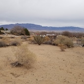 User avatar for James Lewis