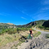 User avatar for Carla Gomez