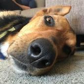 User avatar for Nigel Thomson