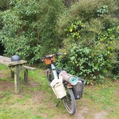 User avatar for Anna Grace