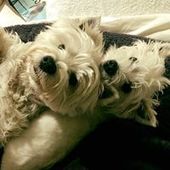 User avatar for Lorraine Chin