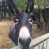 User avatar for Howard Yee