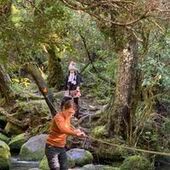 User avatar for Kirsten Shaw