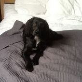 User avatar for Caterina Thess