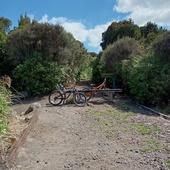 User avatar for Roger Byers