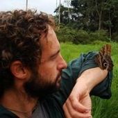 User avatar for David Henderson