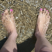 User avatar for Janine Silvestri