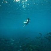 User avatar for Alice Lewis Sneyd