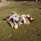 User avatar for Fliss Hawke