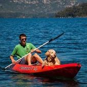 User avatar for Pedro Doll