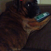 User avatar for Debra Crews