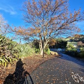 User avatar for Raewynne Pedofski