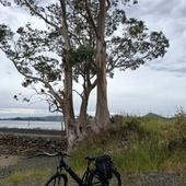 User avatar for Raewynne Pedofski