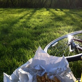 User avatar for Alex Taylor