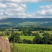 User avatar for Elizabeth  Evans