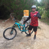 User avatar for Te Mauri Tini