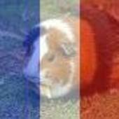 User avatar for Barry Hills