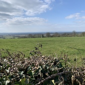 User avatar for Phil Humphries