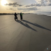 User avatar for Alice Shea