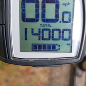 User avatar for Pat Greenwood