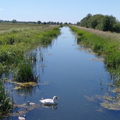 User avatar for Alison Harris